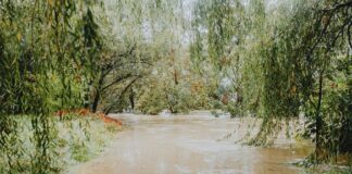 How to Choose the Best How To Use 🎯 Acne Buying Guide: A Comprehensive Guide - Professional image